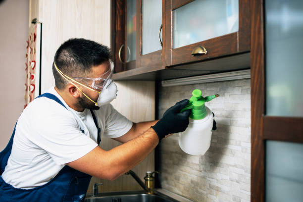 Best Mosquito Control Services  in East Camden, SC