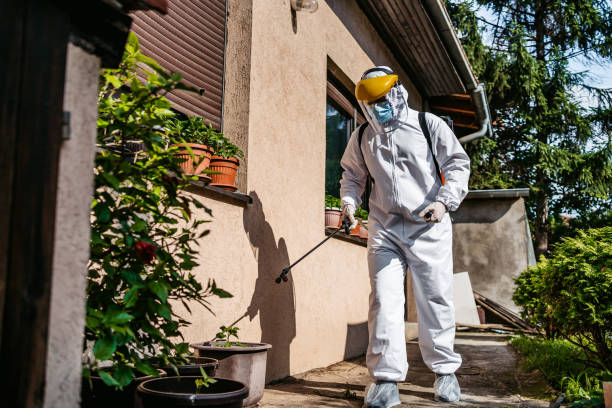 Best Exterminator Services  in East Camden, SC