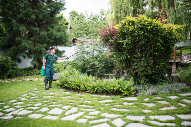 Best Ant Control Services  in East Camden, SC