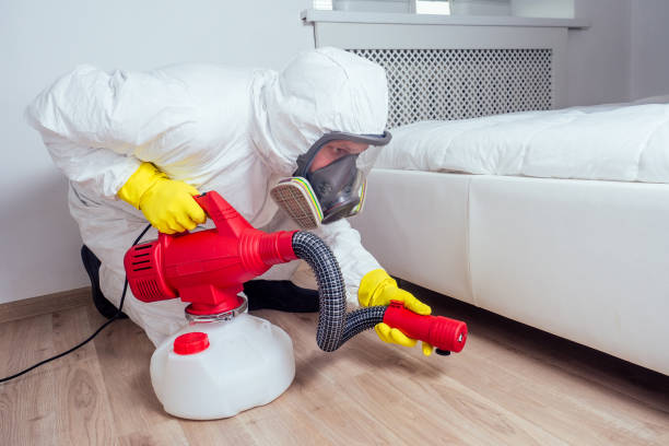 Best Emergency Pest Control  in East Camden, SC