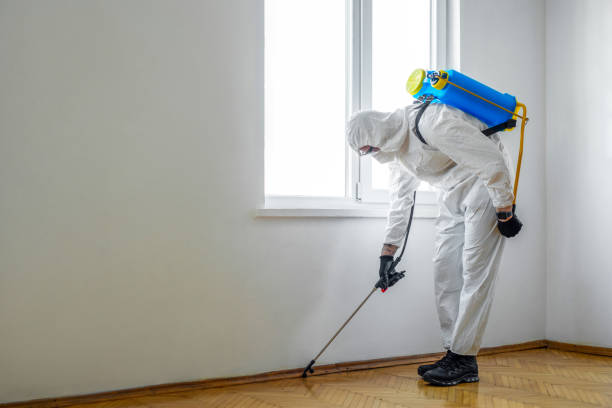 Best Wasp Removal Services  in East Camden, SC