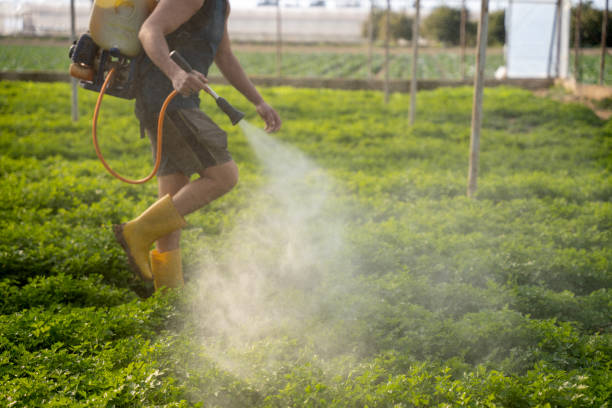 Professional Pest Control in East Camden, SC