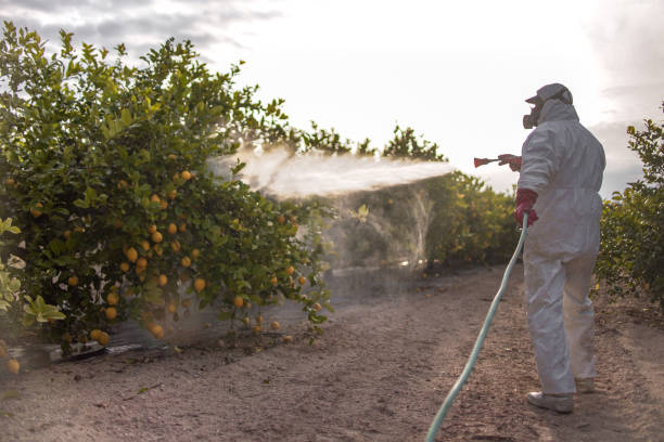 Best Pest Control Near Me  in East Camden, SC