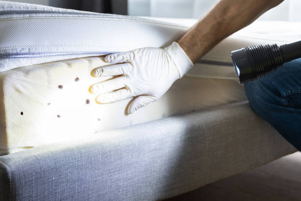 Best Affordable Pest Control Services  in East Camden, SC