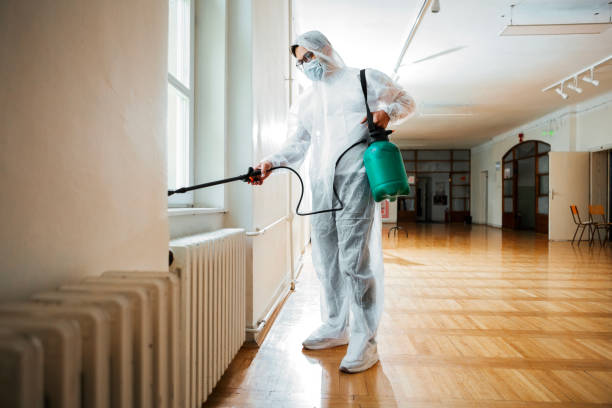 Best Local Pest Control Services  in East Camden, SC