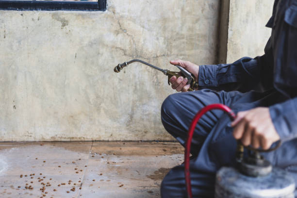 Pest Control for Restaurants in East Camden, SC